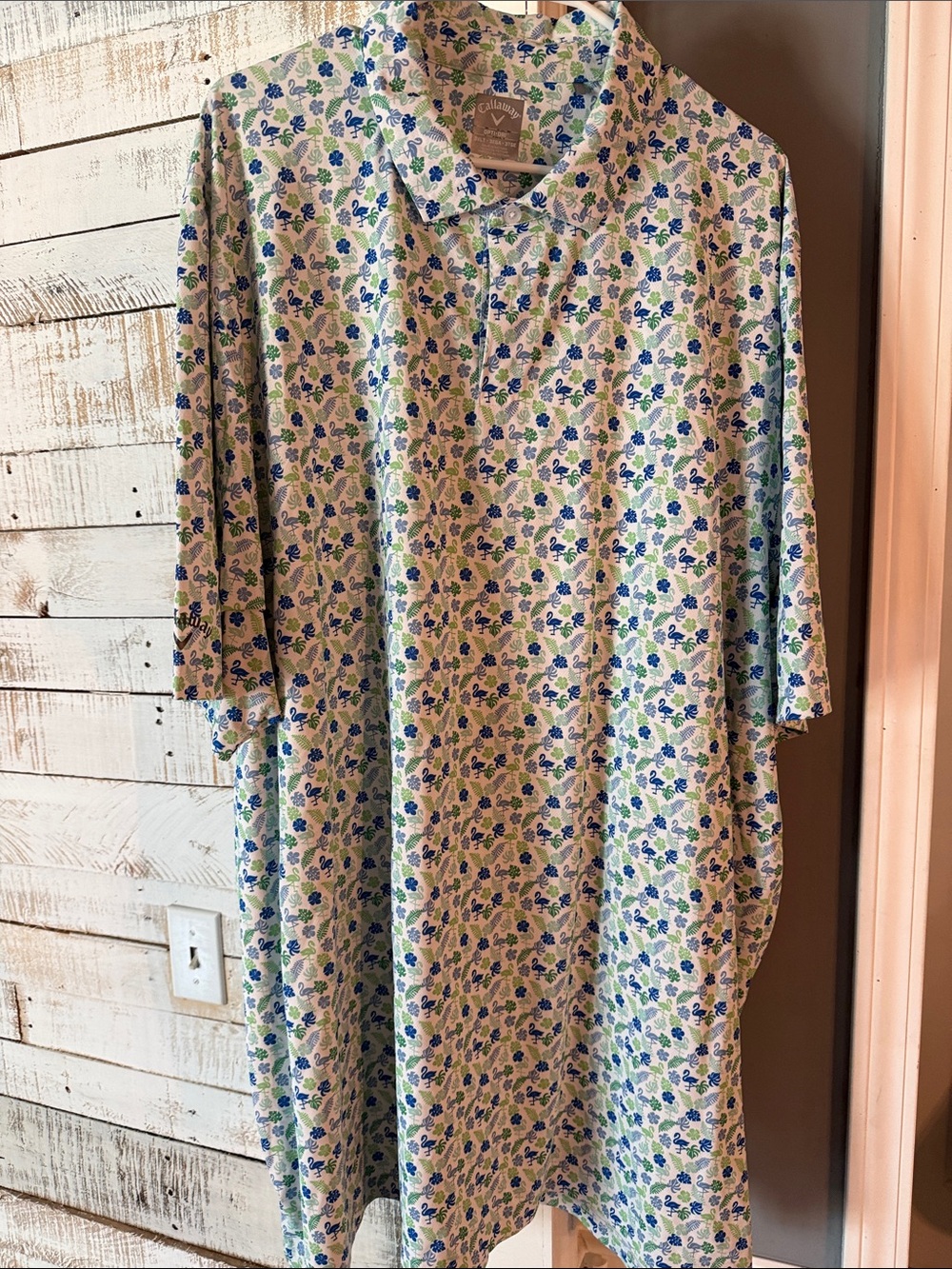 Callaway Floral-Print Polo in Blue and Green